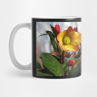 My Lenten Rose Mug